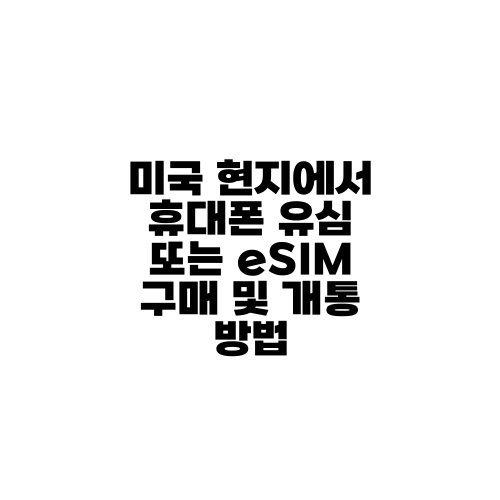 미국 현지에서 휴대폰 유심 또는 eSIM 구매 및 개통 방법
