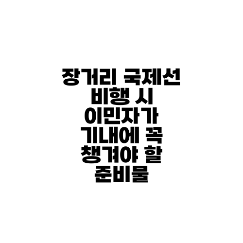 장거리 국제선 비행 시 이민자가 기내에 꼭 챙겨야 할 준비물