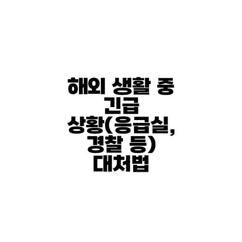 해외 생활 중 긴급 상황(응급실, 경찰 등) 대처법